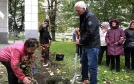 Seniorzy sadzą rośliny w ogrodzie.
