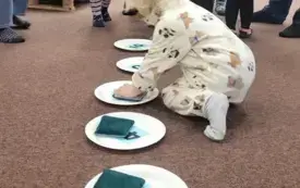 Dzieci rzucają woreczkami na talerzyki z punktami.