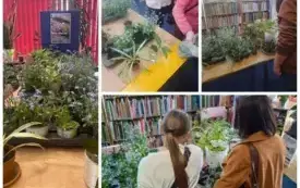 Kolaż zdjęć - Stanowisko do wymiany roślin i ludzie zainteresowani roślinami.