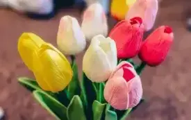 Tulipany w wazonach. 