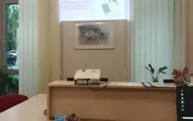 widok na wyświetlaną prezentację dotyczącą książek wydanych powiększoną czcionką