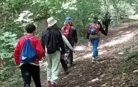 Dzieci idące ścieżką wśr&oacute;d zielonych drzew