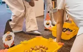 Dzieci segregują orzechy, kasztany oraz szyszki. 