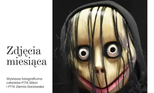 Plakat - zdjęcia miesiąca