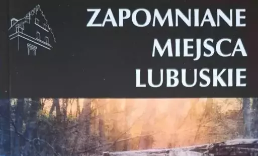 Fragment okładki omawianej książki