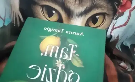 Na zdjęciu jest książka Aurory Tamigio „Tam, gdzie kwitną cytryny” w lustrzanym odbiciu. Leży na niebieskiej bluzce, na której jest print szarego kota