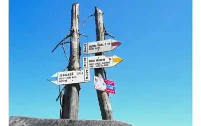 Fragment plakatu promujacego wydarzenie z tytułem wystawy
