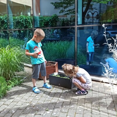 Dwójka dzieci ogląda doniczki z roślinami