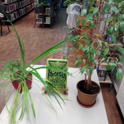 Książka Elif Shafak „Wyspa zaginionych drzew”na małej sztaludze stoi na stole z roślinami. W tle regały z książkami. Kliknięcie w obrazek spowoduje powiększenie.