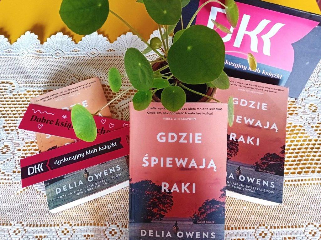 W kompozycji tytułowej omawiane książki leżą na stole. Za nimi stoi kwiat doniczkowy i logo DKK.
