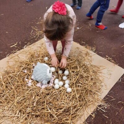 Dziewczynka układa piłeczki pingpongowe, które mają posłużyć jako jajka ptaszka wysiadującego wewnątrz gniazda.
