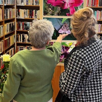 Dwie kobiety odwrócone tyłem oglądają zdjęcia kwiatów. Kliknięcie w obrazek spowoduje powiększenie.