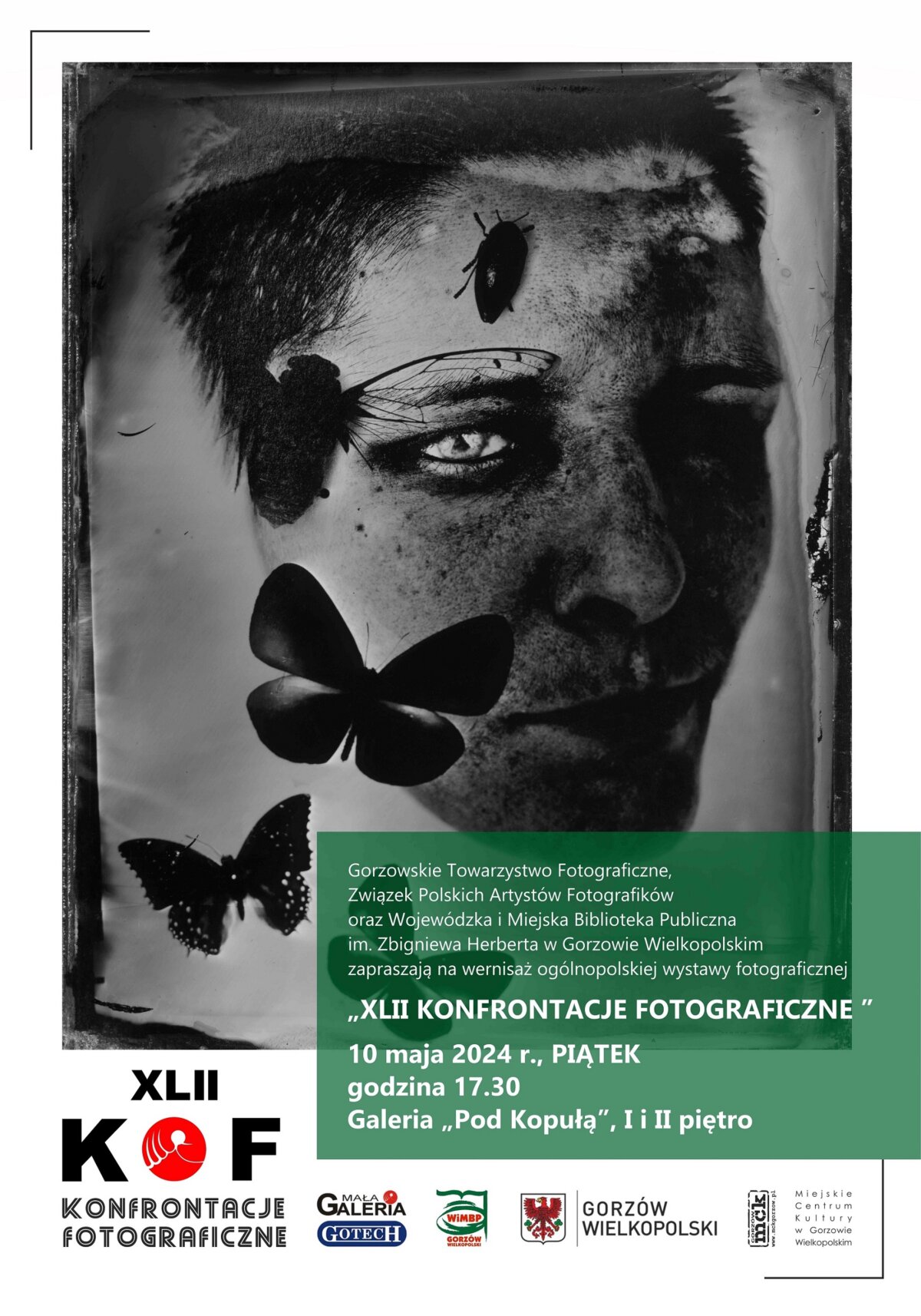 Plakat promujący wydarzeni, na szarym tle twarz i motyle, na zielonym dane dotyczące spotkania oraz różne loga.